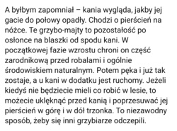 fbbf9c16-6c4e-409e-8938-40cc0be79976