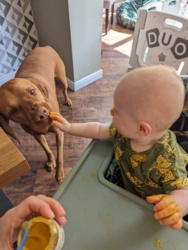 31747833-79f7-4489-a279-b123833817ca