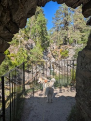 e7cdbb9d-ef9c-47e1-a8de-1c38e0d85e5d