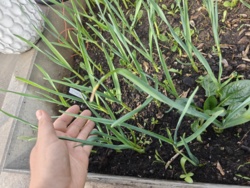 82b4bf5d-cee6-4004-9639-c18095ab91e2