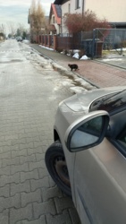 78050af8-ab22-4502-b88c-24f44ce7ad17