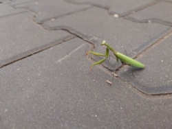 5fd6ddde-4f55-4560-889c-d5c40ae89d37