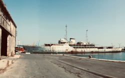 Chorwacja w kryzysie demograficznym: jak zarządzać depopulacją