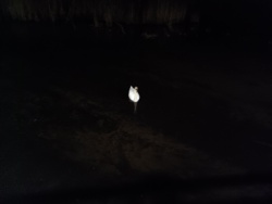 7ae0b88d-2ebb-4260-b905-6b9f40884a98