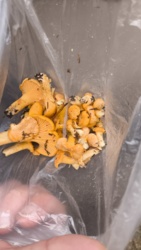 338946e4-af63-4993-a5b9-e7e33cbe6937