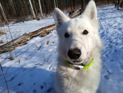 14a886c3-3cc3-4d4c-b0bb-6b5c4d5f92a2