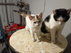 75414c5c-add2-4d61-b01e-ee2f7ca052f9