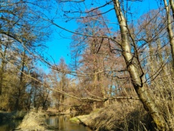 e967e8fa-16c8-4ddb-9cbb-b05dc10d3986