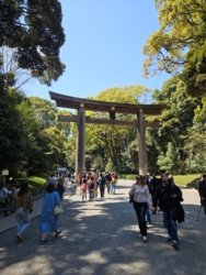 e8941024-fdeb-40aa-8b96-b6ea11df9b46