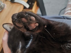 56d610bc-24d4-4080-b957-ca254184271a