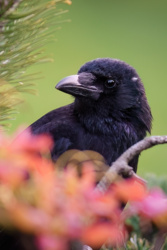 f77e72eb-565b-4834-80b1-1c8ebd0c11d4