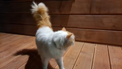 6e67982a-9ad3-4e4e-874f-b9d01ef015bd