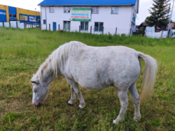 6b02fcdb-d604-4c53-a845-3629bb5b5090