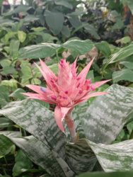 b2d60fac-0958-4252-8578-e2f42d3b45c1