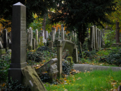 6522f699-ddee-4112-8e53-9778b022b02f