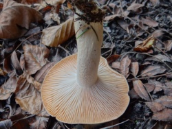 c484a7a9-8149-4f86-8a0e-293b5f2e951f