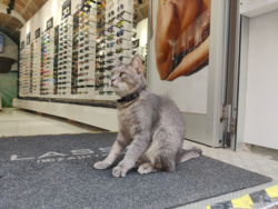 74906341-6fc4-4b7b-9542-afa328d06b29