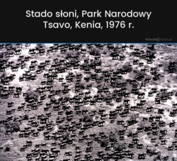 cc949c7f-1beb-4b13-9528-a60e86a20d4e