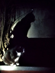 26706fb8-a579-41a6-ae67-867ba51c95cd