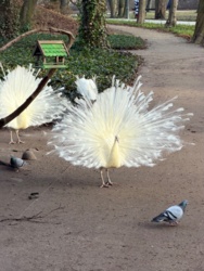 3efaec65-ca42-4828-89ee-f29062c7bd88