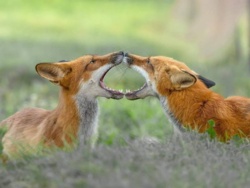 644ded3d-0831-45fb-a95d-87eb77a38a59