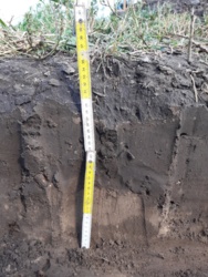 1e04ec41-e2ff-46d7-b83e-34bdeaefa2ec