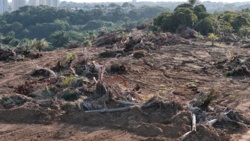 Gra pozorów w sercu Amazonii: Brazylia organizuje COP30 - ZielonaGospodarka.pl