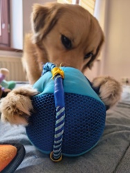 5aab5ff7-d590-47a0-b844-ae173e9fb394