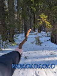 eb23a5ff-dc2a-4a94-9be1-e3d9a820ece0