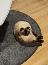 5c5c4173-dbec-4cf4-b55e-a114a6f020fe