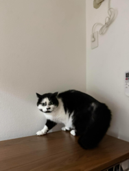 b93febe9-abb1-432c-9efc-07c899d4b279