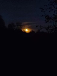 64e5625f-8977-4235-8875-f37f233b0b1a