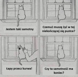 c1f16136-ac23-48ac-b57a-d069b4c1fa73