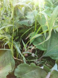 0d64f478-50d9-4cc2-a528-36ba51cc17a0