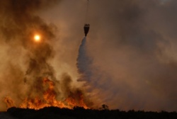 Portugalia: Stan alarmowy z powodu pożarów i fali upałów