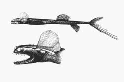 5092deab-0a10-4629-8850-230073413f27