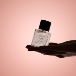 7aed648b-28ea-4e1c-8399-5a67626505ce