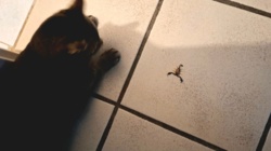 cbbe1097-d94e-4029-b5cf-344c0aab6565