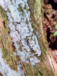 173c3ef2-28d4-40b1-80a2-dce147750ebe