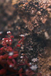 e3883893-cb62-4deb-aada-039a4797cefa