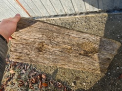 d81ae951-71a1-456c-b3df-f9672edc30b1