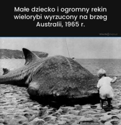 ccea291f-d5ba-4d16-a1e8-b9ed2d2e3398