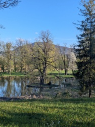 a03744bc-9658-4c3f-bd5d-cec8d97d415d