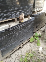 8e2e4779-8dd8-4323-9d03-dcbc5247190b