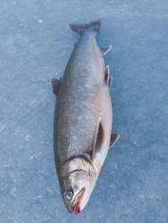 35aac97b-c92e-45f5-b179-c3027ecedb8b