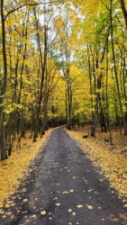 26c05fec-a34f-43b9-9cd0-d1d6846cedbc