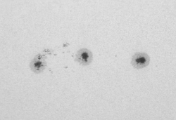 69b2f319-6c68-429f-bce0-5a447befa6a5