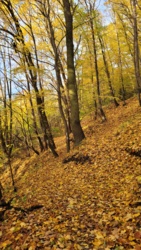 2eb465d5-c147-4338-8175-b310a1b36612