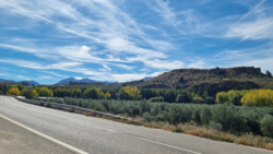 815049a5-168e-451d-bb41-977fe75c8489