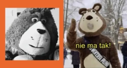 Ta marka miała zniknąć, ale Plusha uratował szalony marketing z misiem